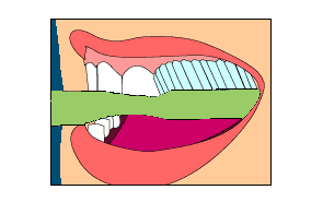 Brossage2[1]