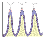 cdcvm_guma1[1]